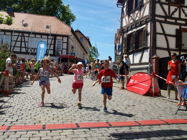 BFL 2017